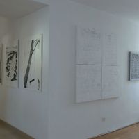 web5