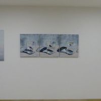 52089371_10213722067833895_8343459278014644224_n