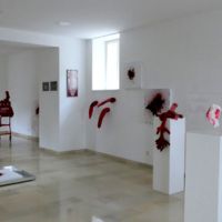 ROT_4